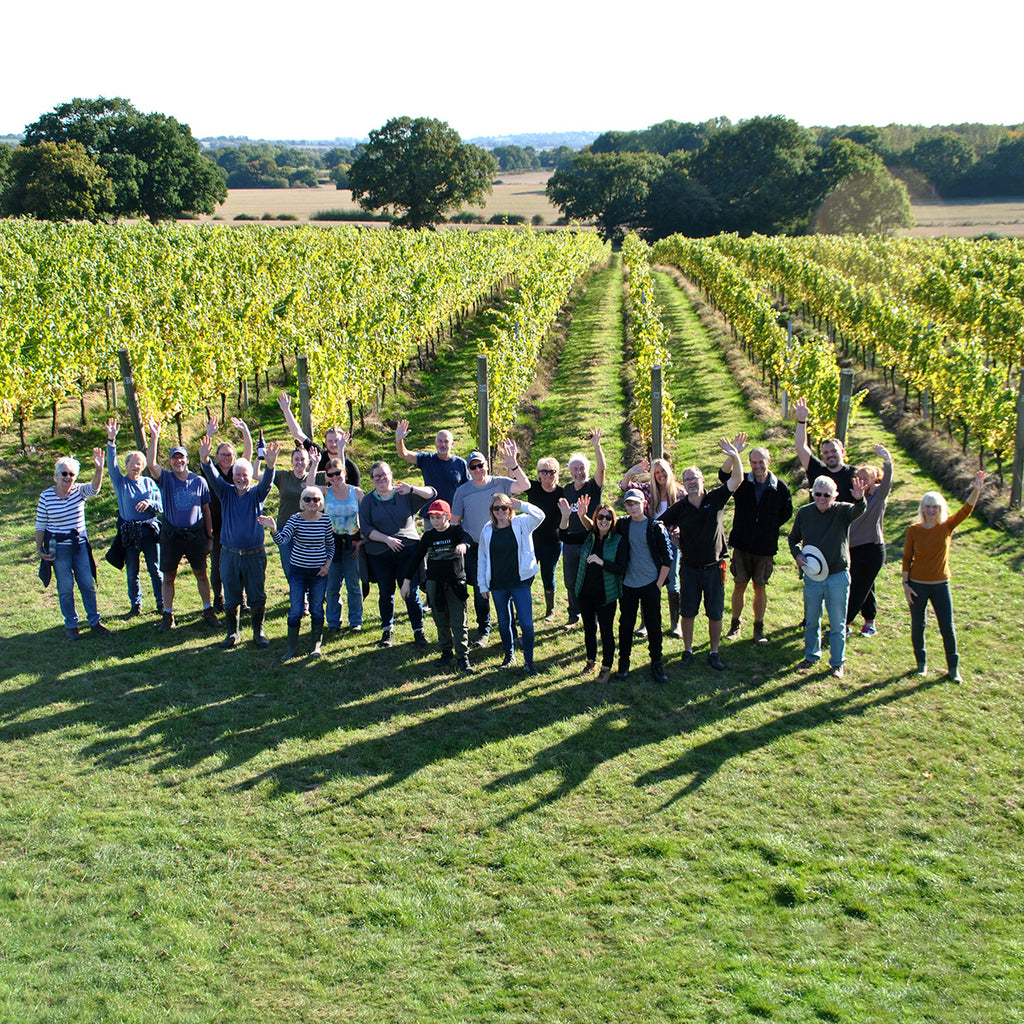 Volunteer Harvest Days 2024