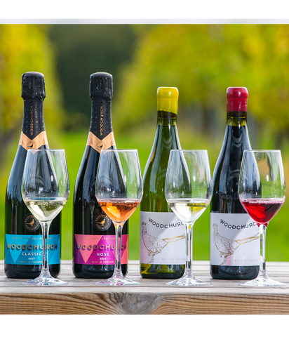 Vineyard Tour and Wine Tasting