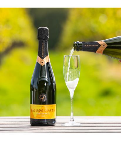 Vineyard Tour and Wine Tasting